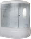 Душевой бокс Royal Bath ALP левый стекло матовое 170x100см RB170ALP-C-L