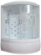Душевой бокс Royal Bath ALP левый стекло прозрачное 170x100см RB170ALP-T-L