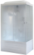 Душевая кабина Royal Bath BP левая стекло матовое 100x80см RB8100BP1-M-L