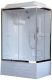 Душевая кабина Royal Bath BP левая стекло прозрачное 100x80см RB8100BP1-T-CH-L