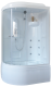 Душевая кабина Royal Bath BK правая стекло прозрачное 120x80см RB8120BK2-T-R Душевая кабина Royal Bath BK правая стекло прозрачное 120x80см RB8120BK2-T-R