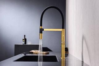 Смеситель для кухни Paulmark Leader Le214101-BG брашированное золото Смеситель для кухни Paulmark Leader Le214101-BG брашированное золото