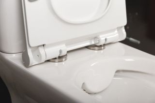 Чаша унитаза напольного BelBagno Romano BB248CPR-P Чаша унитаза напольного BelBagno Romano BB248CPR-P