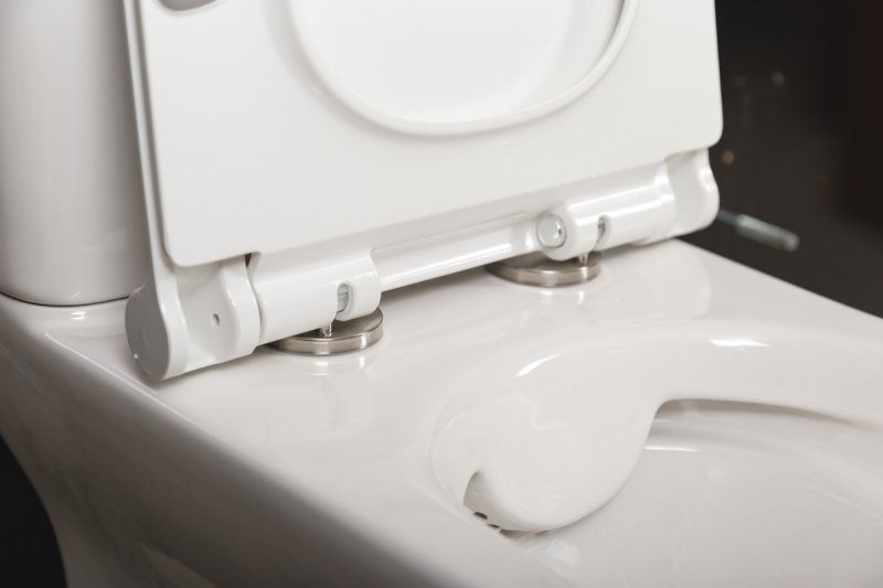 Чаша унитаза напольного BelBagno Romano BB248CPR-P