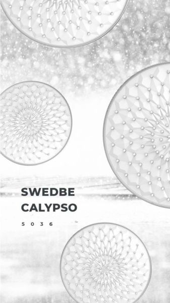 Верхний душ Swedbe Calypso 5036 с 3D дизайном 30см хром Верхний душ Swedbe Calypso 5036 с 3D дизайном 30см хром