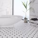 Керамическая мозаика  Starmosaic HOMEWORK С0002902 1236085 Hexagon Octagon big White/Black Matt CLA006 300х300х6