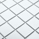 Керамическая мозаика  Starmosaic HOMEWORK С0003081 1236060 White Matt 48x48 ID1005 306х306х6