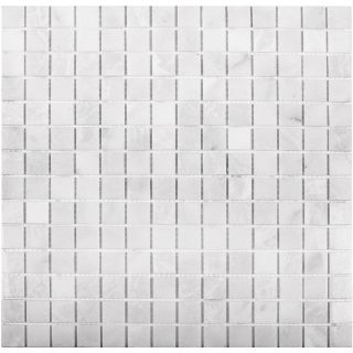 Мраморная мозаика Wild Stone Classic С0003476 1236021 20x20 White Polished JMST037 305x305x4