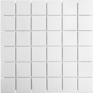 Керамическая мозаика  Starmosaic HOMEWORK С0003636 1236100 White Antid JWB60340 306х306х6