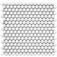 Керамическая мозаика  Starmosaic HOMEWORK С0003639 1237227 Penny Round White Matt NK41000 315х309х6