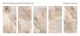 Керамогранит Staro Palacio Nestle  Beige С0003697 1234710 60x120