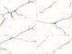 Керамогранит Staro Palacio Crema Polished С0004260 1234703 60x120