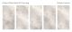 Керамогранит Staro Silk Pulpis  Bland Carving С0005413 1237142 60x120
