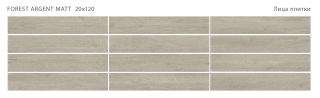 Керамогранит Staro Starowood Forest  Argent Matt С0005663 1237307 20x120