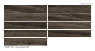 Керамогранит Staro Starowood Forest Wengue Matt С0005665 1237309 20x120