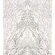 Керамогранит Staro StaroSlabs СЛЭБ С0005883 1237505 Domino Ash - B Elegance 120х280 Slab Polished полированный