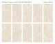 Керамогранит Staro Silk Mystical Charm Crema Relief Matt С0005927 1237550 60x120