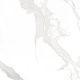 Керамогранит Staro StaroSlabs СЛЭБ С0005969 1237584 Patagonoa Bianco 120х120 Elegance Polished полированный