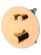 Душевой комплект Wonzon & Woghand Stick WW-88929010-RG с термостатом розовое золото