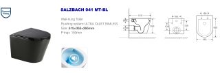 Унитаз подвесной Weltwasser WW SALZBACH 041 MT-BL 10000008258 черный Унитаз подвесной Weltwasser WW SALZBACH 041 MT-BL 10000008258 черный