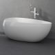 Акриловая ванна Black & White Swan 227SB00 164 x 91 см
