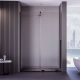 Душевая дверь Veconi Premium Trento PTDW-50B, 1200x2000, черный матовый, стекло прозрачное