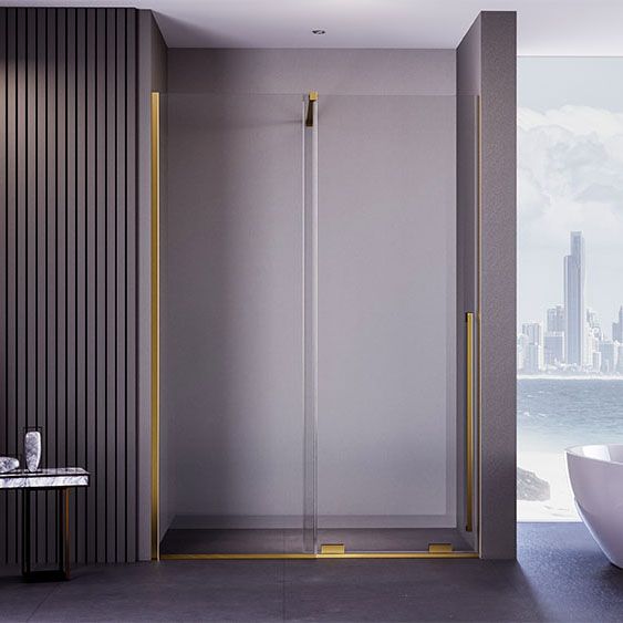 Душевая дверь Veconi Premium Trento PTDW-50G, 1400x2000, брашированное золото, стекло прозрачное