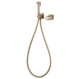 Гигиенический душ со смесителем ABBER Rund AF8725G золото матовое