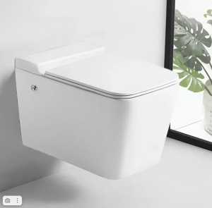 Подвесной унитаз Cerutti MAIELLA Aria Pulse CT10191 безободковый белый