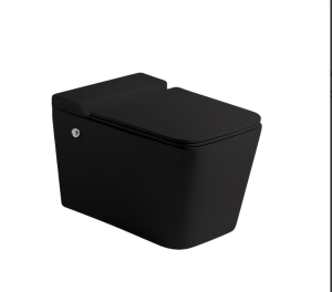 Подвесной унитаз Cerutti MAIELLA Aria Pulse MB CT10191 безободковый черный