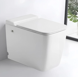 Унитаз Cerutti MAIELLA Pulse CT10196 безободковый белый