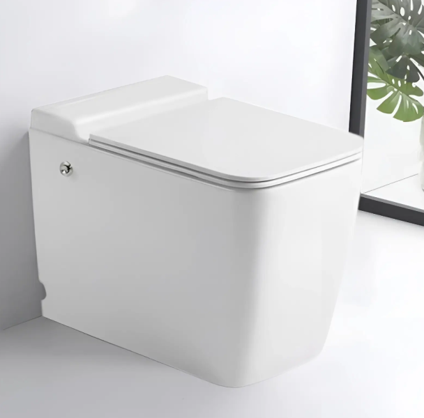 Унитаз Cerutti MAIELLA Pulse CT10196 безободковый белый