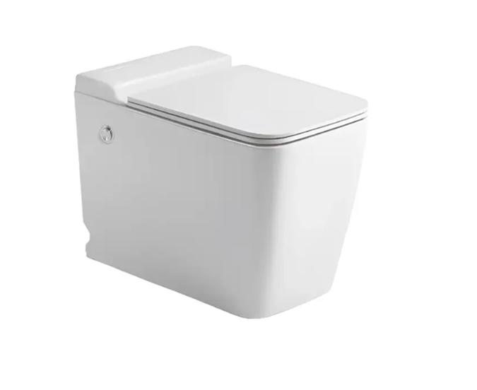 Унитаз Cerutti MAIELLA Pulse CT10196 безободковый белый