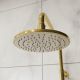 Душевая стойка RGW Shower Panels SP-31G золото 51140131-06
