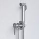 Гигиенический душ RGW Shower Panels SP-206 хром 511408206-01