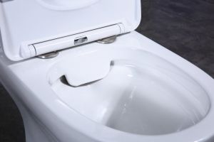 Чаша унитаза напольного BelBagno Steam BB130CPR