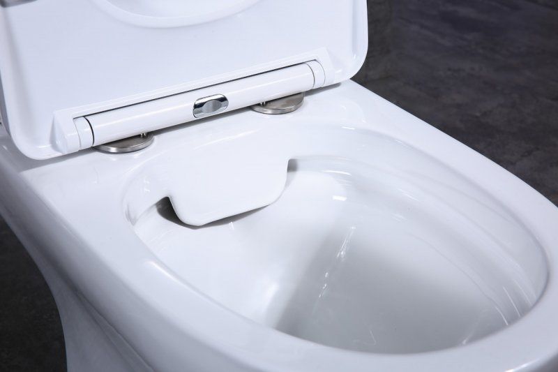 Чаша унитаза напольного BelBagno Steam BB130CPR