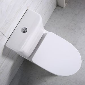 Чаша унитаза напольного BelBagno Steam BB130CPR
