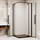 Душевой уголок RGW SV-33B 06323300-14 100x100 см профиль чёрный стекло прозрачное