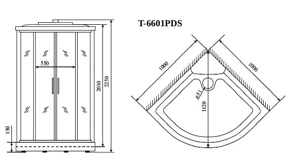 Душевая кабина Timo PDS T-6601PDS 100x100 см профиль хром стекло матовое