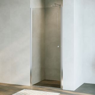 Душевая дверь RGW Dolphin TN-03 54930309-11 90 см профиль хром стекло прозрачное