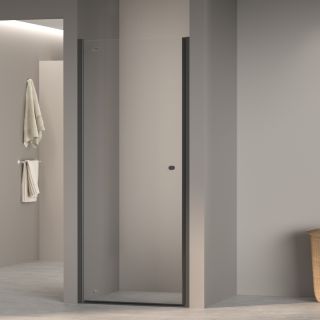 Душевая дверь RGW Dolphin TN-03B 54930309-14 90 см профиль чёрный стекло прозрачное