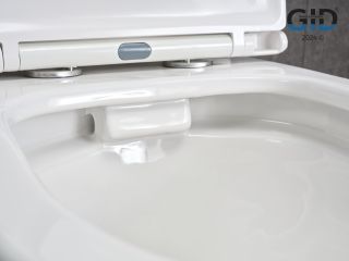 Унитаз напольный Gid Tn2123 62243Y белый 67x38.5x82 Унитаз напольный Gid Tn2123 62243Y белый 67x38.5x82