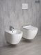 Унитаз подвесной Gid Tr2122b 62256Y белый 53.5x36x35