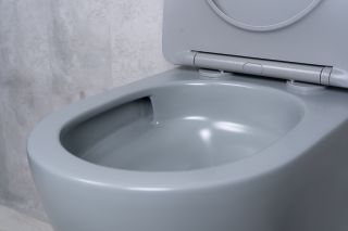 Унитаз подвесной Tornado Gid Tr2122TF-Lgm 62259Y серый матовый 49x36x36 Унитаз подвесной Tornado Gid Tr2122TF-Lgm 62259Y серый матовый 49x36x36