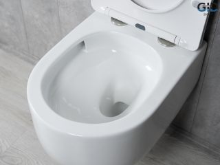 Унитаз подвесной Tornado Gid Tr2133TF 62262Y белый 49x36x34 Унитаз подвесной Tornado Gid Tr2133TF 62262Y белый 49x36x34
