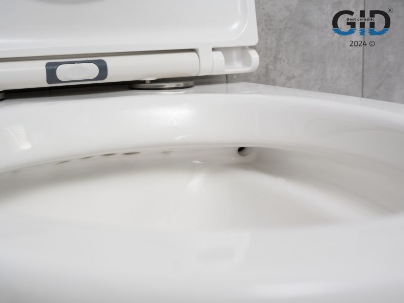 Унитаз подвесной Gid Tr2150 62233Y белый 49x36x36