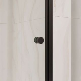 Душевая дверь RGW PA-03B NEW 54080306-14 60 см профиль чёрный стекло прозрачное