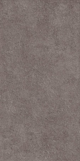 Керамическая плитка Alma Ceramica TWU2550DCV40 облицовочная рельефная Дискавер / Discover 249х500