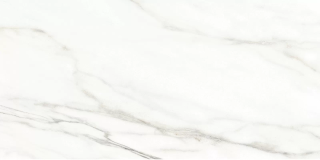 Керамическая плитка Alma Ceramica TWU2550EPH04 облицовочная Эйфория / Euphoria 249х500
